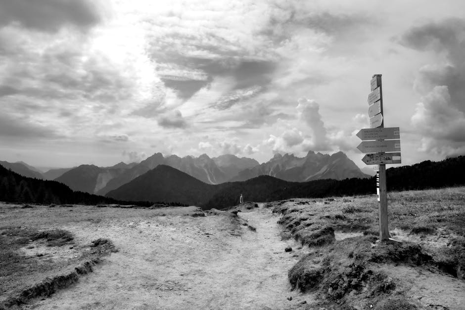 Arête rocheuse en été